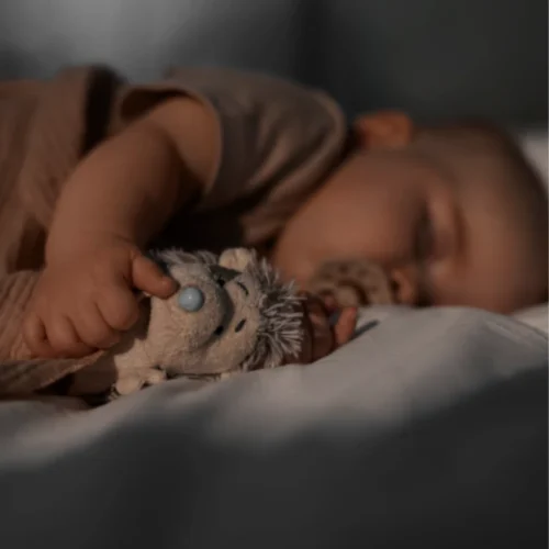 Sommeil du bébé de la naissance à 3 ans